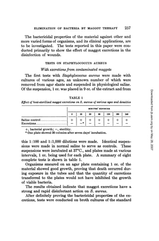 ELIMINATION OF BACTERIA BY MAGGOT THERAPY                              257
  The bactericidal properties of the material against other and
more varied forms of organisms, and its clinical applications, are
to be investigated. The tests reported in this paper were con-
ducted primarily to show the effect of maggot excretions in the
disinfection of wounds.
                  TESTS ON STAPHYLOCOCCUS AUREUS
            With excretions from contaminated maggots
  The first tests with Staphylococcus aureus were made with
cultures of various ages, an unknown number of which were
removed from agar slants and suspended in physiological saline.
Of the suspension, 1 cc. was placed in 9 cc. of the extract and from




                                                                                         Downloaded from jb.asm.org by on May 28, 2007
                                       TABLE 1
Effect of heat-sterilized maggot excretions on S. aureus of various ages and densities
                                                    MINUTES EXPOSURE

                                       5      10     30     60     120    180    240

Saline control ...................+           +      +      +      +      +      +
Excretions.......................
   +, bacterial growth; -X sterility.
   * One plate showed 20 colonies after seven days' incubation.

this 1:100 and 1:1,000 dilutions were made. Identical suspen-
sions were made in normal saline to serve as controls. These
suspensions were incubated at 370C., and plates made at various
intervals, 1 cc. being used for each plate. A summary of eight
complete tests is shown in table 1.
   Organisms smeared on an agar plate containing 1 cc. of the
material showed good growth, proving that death occurred dur-
ing exposure in the tubes and that the quantity of excretions
transferred to the plates would not have inhibited the growth
of viable bacteria.
   The results obtained indicate that maggot excretions have a
strong and rapid disinfectant action on S. aureus.
   After definitely proving the bactericidal properties of the ex-
cretions, tests were conducted on broth cultures of the standard
 