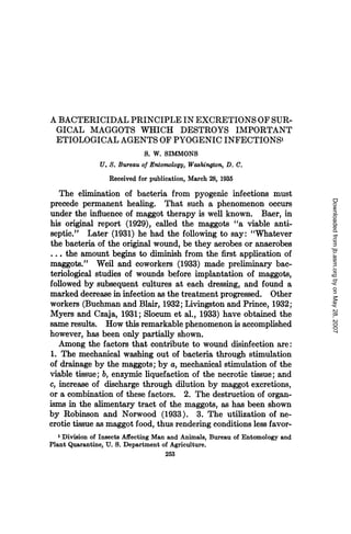 A BACTERICIDAL PRINCIPLE IN EXCRETIONS OF SUR-
 GICAL MAGGOTS WHICH DESTROYS IMPORTANT
 ETIOLOGICAL AGENTS OF PYOGENIC INFECTIONS'
                             S. W. SIMMONS
               U. S. Bureau of Entomology, Washington, D. C.
                  Received for publication, March 28, 1935
   The elimination of bacteria from pyogenic infections must




                                                                               Downloaded from jb.asm.org by on May 28, 2007
precede permanent healing. That such a phenomenon occurs
under the influence of maggot therapy is well known. Baer, in
his original report (1929), called the maggots "a viable anti-
septic." Later (1931) he had the following to say: "Whatever
the bacteria of the original wound, be they aerobes or anaerobes
... the amount begins to diminish from the first application of
maggots." Weil and coworkers (1933) made prelimi ary bac-
teriological studies of wounds before implantation of maggots,
followed by subsequent cultures at each dressing, and found a
marked decrease in infection as the treatment progressed. Other
workers (Buchman and Blair, 1932; Livingston and Prince, 1932;
Myers and Czaja, 1931; Slocum et al., 1933) have obtained the
same results. How this remarkable phenomenon is accomplished
however, has been only partially shown.
   Among the factors that contribute to wound disinfection are:
1. The mechanical washing out of bacteria through stimulation
of drainage by the maggots; by a, mechanical stimulation of the
viable tissue; b, enzymic liquefaction of the necrotic tissue; and
c, increase of discharge through dilution by maggot excretions,
or a combination of these factors. 2. The destruction of organ-
isms in the alimentary tract of the maggots, as has been shown
by Robinson and Norwood (1933). 3. The utilization of ne-
crotic tissue as maggot food, thus rendering conditions less favor-
   1 Division of Insects Affecting Man and Animals, Bureau of Entomology and
Plant Quarantine, U. S. Department of Agriculture.
                                    253
 