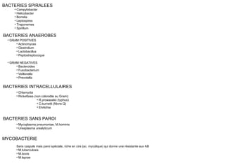 BACTERIES SPIRALEES
• Campylobacter
• Helicobacter
• Borrelia
• Leptospires
• Treponemes
• Spirillum
BACTERIES ANAEROBES
• GRAM POSITIVES
• Actinomyces
• Clostridium
• Lactobacillus
• Peptostreptocoque
• GRAM NEGATIVES
• Bacteroides
• Fusobacterium
• Veillonella
• Prevotella
BACTERIES INTRACELLULAIRES
• Chlamydia
• Rickettsies (non colorable au Gram):
• R.prowasekii (typhus)
• C.burnetti (fièvre Q)
• Ehrlichia
BACTERIES SANS PAROI
• Mycoplasma pneumoniae, M.hominis
• Ureaplasma urealyticum
MYCOBACTERIE
Sans caspule mais paroi spéciale, riche en cire (ac. mycolique) qui donne une résistante aux AB
• M.tuberculosis
• M.bovis
• M.leprae
 
