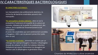 B) CARACTERES CULTURAUX :
Les manupulations des prélévements destinés a la
recherche de bactéries anaérobies peuvent etre
manupulés :
*En atmosphère aérobie ordinaire : dans ce cas la
probabilité d’isolement et la qualité de la culture est
moindre, tributaire de la qualité du prélèvement ,des
milieux, de la rapidité de l’ensemencement et de
l’incubation
(il existe des anaérobies qui sont extrêmement sensibles
a l’oxygène « EOS » qui ne peuvent jamais être isolés
dans ce cas)
*en chambre anaérobie : alimentée en continu par un
mélange d’air exempt d’oxygène ( Diazote / dihydrogène
dioxyde de carbone ) et doté d’un plateau réducteur
(Palladium) qui assure l’élimination du dioxygène par
réaction avec le dihydrogène et génération d’eau.
IV.CARACTERISTIQUES BACTERIOLOGIQUES
Chambre de Whitley pour culture anaérobie
 