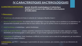 C) CARACTERES D’IDENTIFICATION :
IV.CARACTERISTIQUES BACTERIOLOGIQUES
grande diversité morphologique et métabolique
impliquant le recours a des méthodes phénotypiques
et moléculaires
1) Phénotypiques :
 Morphologie a la coloration de Gram et recherche de l’endospore (Bacilles Gram+)
 Prouver le caractère anaérobie: les colonies dont la morphologie n’est pas spécifique sont en aérobiose et en anaérobiose, les
aéroanaérobies facultatifs pousseront dans les deux milieux alors que les aérobies strictes ne poussent qu’en anaérobiose
 étude biochimique et métabolique = galerie biochimique
 Etude des produits élaborés : certaines anaérobies notamment les Clostridies produisent des acides organiques volatiles
identifiables par Chromatographie en phase gazeuse , le type d’acides organiques produits est caractéristique de l’espèce
 Toxinotypage (C.prifringens, tetani, botulinum et difficile) car les toxines sont au centre de la pathogénicité, par inoculation a
l‘animal ou sur cultures cellulaires
2) Moléculaires : par PCR +/- séquençage et spectrométrie de masse (couteuses, peu courantes, réservés aux laboratoires de
référence)
 