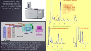 Identification des
acides organiques
par chromatographie
en phase gazeuse
Principe : les gaz produits par la culture sont injectés dans
l’appareil, un mélange de gaz inertes les sépare en fonction
de leurs propriétés physicochimiques, enfin les produits
sortent en passant par un détecteur qui les identifient.
 