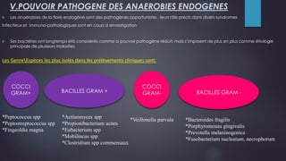 Les GenreEspèces les plus isolés dans les prélèvements cliniques sont:
V.POUVOIR PATHOGENE DES ANAEROBIES ENDOGENES
 Les anaérobies de la flore endogène sont des pathogènes opportunistes , leurs rôle précis dans divers syndromes
Infectieux et immuno-pathologiques sont en cours d »investigation
 Ses bactéries ont longtemps été considérés comme a pouvoir pathogène réduit, mais s’imposent de plus en plus comme étiologie
principale de plusieurs maladies
COCCI
GRAM+ BACILLES GRAM + BACILLES GRAM -
COCCI
GRAM-
*Actinomyces spp
*Propionibacterium acnes
*Eubacterium spp
*Mobilincus spp
*Clostridium spp commensaux
*Peptococcus spp
*Peptostreptococcus spp
*Fingeoldia magna
*Veillonella parvula *Bacteroides fragilis
*Porphyromonas gingivalis
*Prevotella melaninogenica
*Fusobacterium nucleatum, necrophorum
 