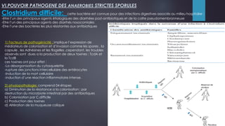 Clostridium difficile: cette bactérie est connue pour des infections digestives associés au milieu hospitalier :
-être l’un des principaux agents étiologiques des diarrhées post-antibiotiques et de la colite pseudomembranneuse
-Etre l’un des principaux agents des diarrhés nosocomiales
-Etre l’une des bactéries les plus résistantes aux antibiotiques
VI.POUVOIR PATHOGENE DES ANAEROBIES STRICTES SPORULES
1) Facteurs de pathogénicité : implique l’expression de
médiateurs de colonisation et d’invasion comme les spores , la
capsule , les Adhésines et les flagelles .cependant, les troubles
observés sont dues a la production de deux toxines : TcdA et
la TcdB
ces toxines ont pour effet :
-La désorganisation du cytosquelette
-rupture des jonctions intercellulaire des entérocytes
-Induction de la mort cellulaire
-induction d’une réaction inflammatoire intense.
2) physiopathologie: comprend 04 étapes
a) Diminution de la résistance a la colonisation : par
destruction du microbiote intestinal par des antibiotiques
b) Colonisation par C.difficile
c) Production des toxines
d) Altération de la muqueuse colique
 
