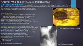 Clostridium difficile: cette bactérie est connue pour des infections digestives associés au milieu hospitalier :
-être l’un des principaux agents étiologiques des diarrhées post-antibiotiques et de la colite pseudomembranneuse
-Etre l’un des principaux agents des diarrhés nosocomiales
-Etre l’une des bactéries les plus résistantes aux antibiotiques
VI.POUVOIR PATHOGENE DES ANAEROBIES STRICTES SPORULES
3) Formes Cliniques :
a) Le portage asymptomatique:il a été décrit un portage
asymptomatique par C.difficile dont la fréquence est
variable et dépendante de plusieurs facteurs
b) La diarrhée post antibiotique simple: diarrhée fécale, sans
glaire ni sang visibles. mais il n’y a pas d’altération
marquée de l’état général ,il n’existe pas de pseudomembrane
ni ulcération franche de la muqueuse intestinale
c) La Colite pseudomembranneuse:plus bruyante : elle
débute par une diarrhée liquide abondante (plus de sept selles
par jour), faite de selles hétérogènes en général non sanglantes.
Elle est souvent accompagnée de fièvre et de
douleurs abdominales.. Àl’endoscopie, la muqueuse colique est
recouverte de plaques surélevées jaunâtres
(pseudomembranes). Elles sont constituées de
débris cellulaires, de mucus, de fibrine et de leucocytes.
d) Les formes graves :
-Mégacolon toxique
-Colite fulminante
NB: les récidives sont très fréquentes!
Colite pseudomembranneuse
Mégacolon toxique
 