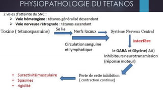 PHYSIOPATHOLOGIE DU TETANOS
 