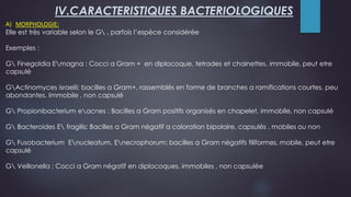 A) MORPHOLOGIE:
Elle est très variable selon le G , parfois l’espèce considérée
Exemples :
G Finegoldia Emagna : Cocci a Gram + en diplocoque, tetrades et chainettes, immobile, peut etre
capsulé
GActinomyces israelii; bacilles a Gram+, rassemblés en forme de branches a ramifications courtes, peu
abondantes. Immobile , non capsulé
G Propionibacterium eacnes : Bacilles a Gram positifs organisés en chapelet, immobile, non capsulé
G Bacteroides E fragilis: Bacilles a Gram négatif a coloration bipolaire, capsulés , mobiles ou non
G Fusobacterium Enucleatum, Enecrophorum: bacilles a Gram négatifs filiformes, mobile, peut etre
capsulé
G Veillonella : Cocci a Gram négatif en diplocoques, immobiles , non capsulée
IV.CARACTERISTIQUES BACTERIOLOGIQUES
 