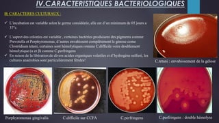 Bacteries anaerobies strictes
