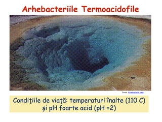 Bacterii și Arhebacterii.pdf