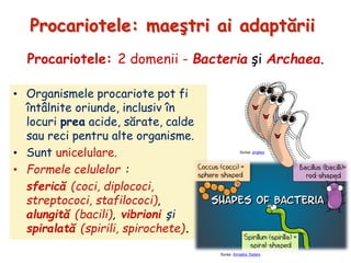 Bacterii și Arhebacterii.pdf