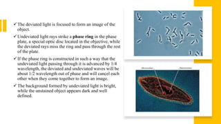 microscopy in bacteriology by Tejpal.pptx