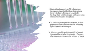 microscopy in bacteriology by Tejpal.pptx