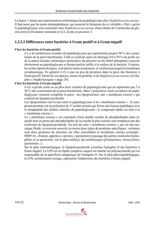 Anatomie fonctionnelle des bactéries
14/122 Bactériologie - Service de Bactériologie 2002 - 2003
La figure 1 donne une représentation schématique du peptidoglycane chez Staphylococcus aureus.
Il faut noter que les ponts interpeptidiques, qui assurent la fermeture de ce véritable « filet » qu'est
le peptidoglycane, sont constitués chez Staphylococcus aureus d'une chaîne de 5 molécules de gly-
cine entre la D-alanine terminale et la L-lysine en position 3.
1.2.5.2 Différences entre bactéries à Gram positif et à Gram négatif
Chez les bactéries à Gram positif,
il y a de nombreuses couches de peptidoglycane qui représentent jusqu'à 90 % des consti-
tuants de la paroi bactérienne. Celle-ci contient aussi un feutrage (10 à 50 % du poids sec
de la paroi) d'acides teichoïques (polymères du glycérol ou du ribitol phosphate) associés
étroitement au peptidoglycane et faisant parfois saillie à la surface de la bactérie. Certains,
les acides lipoteichoïques, sont placés transversalement. et s'enfoncent jusqu'à la membrane
cytoplasmique. En général il n'y a pas ou peu de protéines dans la paroi des bactéries à
Gram positif. Parmi les exceptions, notons la protéine A de Staphylococcus aureus (cf cha-
pitre « Staphylocoques » page 29).
Chez les bactéries à Gram négatif,
il n'y a qu'une seule ou au plus deux couches de peptidoglycane qui ne représente que 5 à
20 % des constituants de la paroi bactérienne. Mais 3 polymères situés en dehors du pepti-
doglycane viennent compléter la paroi : des lipoprotéines, une « membrane externe » qui
contient du lipopolysaccharide.
Les lipoprotéines sont le lien entre le peptidoglycane et la « membrane externe » : le com-
posant protéine est un polymère de 15 acides aminés qui forme une liaison peptidique avec
le tétrapeptide des chaînes latérales du peptidoglycane ; le composant lipide est relié à la
« membrane externe ».
La « membrane externe » est constituée d'une double couche de phospholipides dans la-
quelle tout ou partie des phospholipides de la couche la plus externe sont remplacés par des
molécules de lipopolysaccharide. Au sein de cette « membrane externe », qui est une mo-
saïque fluide, se trouvent associés au moins deux types de protéines spécifiques : certaines
sont dites protéines de structure car elles consolident la membrane externe (exemple :
OMP-A) ; d'autres, appelées « porines » permettent le passage des petites molécules hydro-
philes et en particulier, sur le plan médical, des antibiotiques (β-lactamines, tétracyclines,
quinolones...).
Sur le plan immunologique, le lipopolysaccharide constitue l'antigène O des bactéries à
Gram négatif. Le LPS est un lipide complexe auquel est attaché un polysaccharide qui est
responsable de la spécificité antigénique de l'antigène O. Sur le plan physiopathologique,
le LPS, extrêmement toxique, représente l'endotoxine des bactéries à Gram négatif.
 