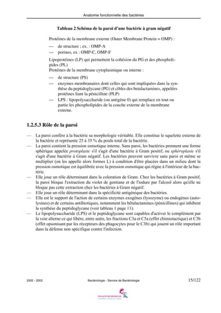 Anatomie fonctionnelle des bactéries
2002 - 2003 Bactériologie - Service de Bactériologie 15/122
Tableau 2 Schéma de la paroi d’une bactérie à gram négatif
1.2.5.3 Rôle de la paroi
— La paroi confère à la bactérie sa morphologie véritable. Elle constitue le squelette externe de
la bactérie et représente 25 à 35 % du poids total de la bactérie.
— La paroi contient la pression osmotique interne. Sans paroi, les bactéries prennent une forme
sphérique appelée protoplaste s'il s'agit d'une bactérie à Gram positif, ou sphéroplaste s'il
s'agit d'une bactérie à Gram négatif. Les bactéries peuvent survivre sans paroi et même se
multiplier (on les appelle alors formes L) à condition d'être placées dans un milieu dont la
pression osmotique est équilibrée avec la pression osmotique qui règne à l'intérieur de la bac-
térie.
— Elle joue un rôle déterminant dans la coloration de Gram. Chez les bactéries à Gram positif,
la paroi bloque l'extraction du violet de gentiane et de l'iodure par l'alcool alors qu'elle ne
bloque pas cette extraction chez les bactéries à Gram négatif.
— Elle joue un rôle déterminant dans la spécificité antigénique des bactéries.
— Elle est le support de l'action de certains enzymes exogènes (lysozyme) ou endogènes (auto-
lysines) et de certains antibiotiques, notamment les bêtalactamines (pénicillines) qui inhibent
la synthèse du peptidoglycane (voir tableau 1 page 11).
— Le lipopolysaccharide (LPS) et le peptidoglycane sont capables d'activer le complément par
la voie alterne ce qui libère, entre autre, les fractions C3a et C5a (effet chimiotactique) et C3b
(effet opsonisant par les récepteurs des phagocytes pour le C3b) qui jouent un rôle important
dans la défense non spécifique contre l'infection.
Protéines de la membrane externe (Outer Membrane Protein = OMP) :
— de structure ; ex. : OMP-A
— porines, ex : OMP-C, OMP-F
Lipoprotéines (LP) qui permettent la cohésion du PG et des phospholi-
pides (PL)
Protéines de la membrane cytoplasmique ou interne :
— de structure (PS)
— enzymes membranaires dont celles qui sont impliquées dans la syn-
thèse du peptidoglycane (PG) et cibles des betalactamines, appelées
protéines liant la pénicilline (PLP)
— LPS : lipopolysaccharide (ou antigène 0) qui remplace en tout ou
partie les phospholipides de la couche externe de la membrane
externe.
 