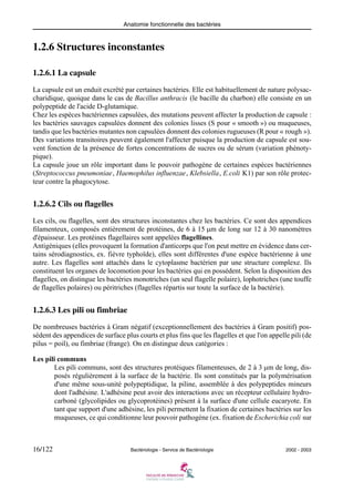 Anatomie fonctionnelle des bactéries
16/122 Bactériologie - Service de Bactériologie 2002 - 2003
1.2.6 Structures inconstantes
1.2.6.1 La capsule
La capsule est un enduit excrêté par certaines bactéries. Elle est habituellement de nature polysac-
charidique, quoique dans le cas de Bacillus anthracis (le bacille du charbon) elle consiste en un
polypeptide de l'acide D-glutamique.
Chez les espèces bactériennes capsulées, des mutations peuvent affecter la production de capsule :
les bactéries sauvages capsulées donnent des colonies lisses (S pour « smooth ») ou muqueuses,
tandis que les bactéries mutantes non capsulées donnent des colonies rugueuses (R pour « rough »).
Des variations transitoires peuvent également l'affecter puisque la production de capsule est sou-
vent fonction de la présence de fortes concentrations de sucres ou de sérum (variation phénoty-
pique).
La capsule joue un rôle important dans le pouvoir pathogène de certaines espèces bactériennes
(Streptococcus pneumoniae, Haemophilus influenzae, Klebsiella, E.coli K1) par son rôle protec-
teur contre la phagocytose.
1.2.6.2 Cils ou flagelles
Les cils, ou flagelles, sont des structures inconstantes chez les bactéries. Ce sont des appendices
filamenteux, composés entièrement de protéines, de 6 à 15 μm de long sur 12 à 30 nanomètres
d'épaisseur. Les protéines flagellaires sont appelées flagellines.
Antigéniques (elles provoquent la formation d'anticorps que l'on peut mettre en évidence dans cer-
tains sérodiagnostics, ex. fièvre typhoïde), elles sont différentes d'une espèce bactérienne à une
autre. Les flagelles sont attachés dans le cytoplasme bactérien par une structure complexe. Ils
constituent les organes de locomotion pour les bactéries qui en possèdent. Selon la disposition des
flagelles, on distingue les bactéries monotriches (un seul flagelle polaire), lophotriches (une touffe
de flagelles polaires) ou péritriches (flagelles répartis sur toute la surface de la bactérie).
1.2.6.3 Les pili ou fimbriae
De nombreuses bactéries à Gram négatif (exceptionnellement des bactéries à Gram positif) pos-
sèdent des appendices de surface plus courts et plus fins que les flagelles et que l'on appelle pili (de
pilus = poil), ou fimbriae (frange). On en distingue deux catégories :
Les pili communs
Les pili communs, sont des structures protéiques filamenteuses, de 2 à 3 μm de long, dis-
posés régulièrement à la surface de la bactérie. Ils sont constitués par la polymérisation
d'une même sous-unité polypeptidique, la piline, assemblée à des polypeptides mineurs
dont l'adhésine. L'adhésine peut avoir des interactions avec un récepteur cellulaire hydro-
carboné (glycolipides ou glycoprotéines) présent à la surface d'une cellule eucaryote. En
tant que support d'une adhésine, les pili permettent la fixation de certaines bactéries sur les
muqueuses, ce qui conditionne leur pouvoir pathogène (ex. fixation de Escherichia coli sur
 
