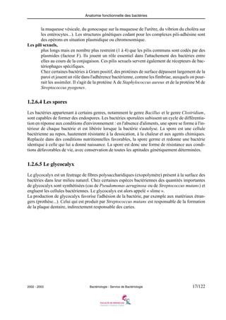Anatomie fonctionnelle des bactéries
2002 - 2003 Bactériologie - Service de Bactériologie 17/122
la muqueuse vésicale, du gonocoque sur la muqueuse de l'urètre, du vibrion du choléra sur
les entérocytes...). Les structures génétiques codant pour les complexes pili-adhésine sont
des opérons en situation plasmidique ou chromosomique.
Les pili sexuels,
plus longs mais en nombre plus restreint (1 à 4) que les pilis communs sont codés par des
plasmides (facteur F). Ils jouent un rôle essentiel dans l'attachement des bactéries entre
elles au cours de la conjugaison. Ces pilis sexuels servent également de récepteurs de bac-
tériophages spécifiques.
Chez certaines bactéries à Gram positif, des protéines de surface dépassent largement de la
paroi et jouent un rôle dans l'adhérence bactérienne, comme les fimbriae, auxquels on pour-
rait les assimiler. Il s'agit de la protéine A de Staphylococcus aureus et de la protéine M de
Streptococcus pyogenes.
1.2.6.4 Les spores
Les bactéries appartenant à certains genres, notamment le genre Bacillus et le genre Clostridium,
sont capables de former des endospores. Les bactéries sporulées subissent un cycle de différentia-
tion en réponse aux conditions d'environnement : en l'absence d'aliments, une spore se forme à l'in-
térieur de chaque bactérie et est libérée lorsque la bactérie s'autolyse. La spore est une cellule
bactérienne au repos, hautement résistante à la dessication, à la chaleur et aux agents chimiques.
Replacée dans des conditions nutritionnelles favorables, la spore germe et redonne une bactérie
identique à celle qui lui a donné naissance. La spore est donc une forme de résistance aux condi-
tions défavorables de vie, avec conservation de toutes les aptitudes génétiquement déterminées.
1.2.6.5 Le glycocalyx
Le glycocalyx est un feutrage de fibres polysaccharidiques (exopolymère) présent à la surface des
bactéries dans leur milieu naturel. Chez certaines espèces bactériennes des quantités importantes
de glycocalyx sont synthétisées (cas de Pseudomonas aeruginosa ou de Streptococcus mutans) et
engluent les cellules bactériennes. Le glycocalyx est alors appelé « slime ».
La production de glycocalyx favorise l'adhésion de la bactérie, par exemple aux matériaux étran-
gers (prothèse...). Celui qui est produit par Streptococcus mutans est responsable de la formation
de la plaque dentaire, indirectement responsable des caries.
 