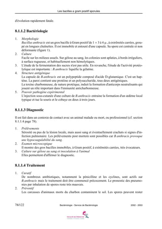 Les bacilles a gram positif sporules
78/122 Bactériologie - Service de Bactériologie 2002 - 2003
d'évolution rapidement fatale.
8.1.1.2 Bactériologie
1. Morphologie
Bacillus anthracis est un gros bacille à Gram positif de 1 × 3 à 4 μ , à extrêmités carrées, grou-
pé en longues chaînettes. Il est immobile et entouré d'une capsule. Sa spore est centrale et non
déformante (figure 1).
2. Culture
Facile sur les milieux usuels. Sur gélose au sang, les colonies sont aplaties, à bords irréguliers,
à surface rugueuse, et habituellement non hémolytiques.
3. L'étude de la fermentation des sucres n'est pas utile. En revanche, l'étude de l'activité protéo-
lytique est importante : B.anthracis liquéfie la gélatine.
4. Structure antigénique
La capsule de B.anthracis est un polypeptide composé d'acide D-glutamique. C'est un hap-
tène. La paroi contient une protéine et un polysaccharide, tous deux antigéniques.
La toxine charbonneuse, de nature protéique, induit la formation d'anticorps neutralisants qui
jouent un rôle important dans l'immunité anticharbonneuse.
5. Pouvoir pathogène expérimental
L'injection sous-cutanée d'une culture de B.anthracis entraine la formation d'un œdème local
typique et tue la souris et le cobaye en deux à trois jours.
8.1.1.3 Diagnostic
Il est fait dans un contexte de contact avec un animal malade ou mort, ou professionnel (cf. section
8.1.1.4 page 78).
1. Prélèvements
Sérosité ou pus de la lésion locale, mais aussi sang et éventuellement crachats si signes d'in-
fection pulmonaire. Les prélèvements post mortem sont possibles car B.anthracis provoque
une hypocoagulabilité du sang.
2. Examen microscopique
Il montre des gros bacilles immobiles, à Gram positif, à extrêmités carrées, très évocateurs.
3. Culture sur gélose au sang et inoculation à l'animal
Elles permettent d'affirmer le diagnostic.
8.1.1.4 Traitement
1. Curatif
De nombreux antibiotiques, notamment la pénicilline et les cyclines, sont actifs sur
B.anthracis mais le traitement doit être commencé précocement. Le pronostic des pneumo-
nies par inhalation de spores reste très mauvais.
2. Préventif
Les carcasses d'animaux morts du charbon contaminent le sol. Les spores peuvent rester
 