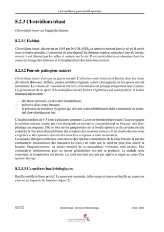 Les bacilles a gram positif sporules
82/122 Bactériologie - Service de Bactériologie 2002 - 2003
8.2.3 Clostridium tétani
Clostridium tetani est l'agent du tétanos.
8.2.3.1 Habitat
Clostridium tetani, découvert en 1885 par NICOLAIER, se retrouve partout dans le sol où il survit
sous sa forme sporulée. Commensal du tube digestif de plusieurs espèces animales (cheval, bovins,
ovins), il est éliminé par les selles et sporule sur le sol. Il est particulièrement abondant dans les
zones de pacage des animaux et à l'emplacement des anciennes écuries.
8.2.3.2 Pouvoir pathogène naturel
Clostridium tetani n'est pas un germe invasif. L'infection reste strictement limitée dans les tissus
dévitalisés (blessure, brûlure, cordon ombilical ligaturé, suture chirurgicale) où les spores ont été
introduites. Le volume de tissu infecté est petit, et la maladie est presque uniquement une toxémie.
La germination de la spore et la multiplication des formes végétatives qui vont produire la toxine
tétanique nécessitent :
— des tissus nécrosés, c'est-à-dire l'anaérobiose,
— présence d'un corps étranger,
— la présence de bactéries pyogènes qui doivent vraisemblablement aider à maintenir un poten-
tiel d'oxydoréduction bas.
L'incubation dure de 4-5 jours à plusieurs semaines. La toxine formée pénètre dans l'axone et gagne
le système nerveux central par voie rétrograde en suivant le tissu périneural ou bien par voie lym-
phatique ou sanguine. Elle se fixe sur les gangliosides de la moelle épinière et du cerveau, où elle
empêche la libération d'un inhibiteur des synapses des neurones moteurs. Il en résulte des réactions
exagérées et des spasmes violents des muscles en réponse à toute stimulation.
La maladie clinique commence souvent par des spasmes musculaires de la zone blessée et par des
contractures douloureuses des masseters (trismus) de sorte que le sujet ne peut plus ouvrir la
bouche. Progressivement, les autres muscles de la musculature volontaire sont atteints. Des
contractures douloureuses plus ou moins généralisées peuvent se produire. Le malade reste
conscient, sa température est élevée. La mort survient souvent par asphyxie aiguë au cours d'un
spasme laryngé.
8.2.3.3 Caractères bactériologiques
Bacille mobile à Gram positif. La spore est terminale, déformante et donne au bacille un aspect en
clou ou en baguette de tambour (figure 2).
 