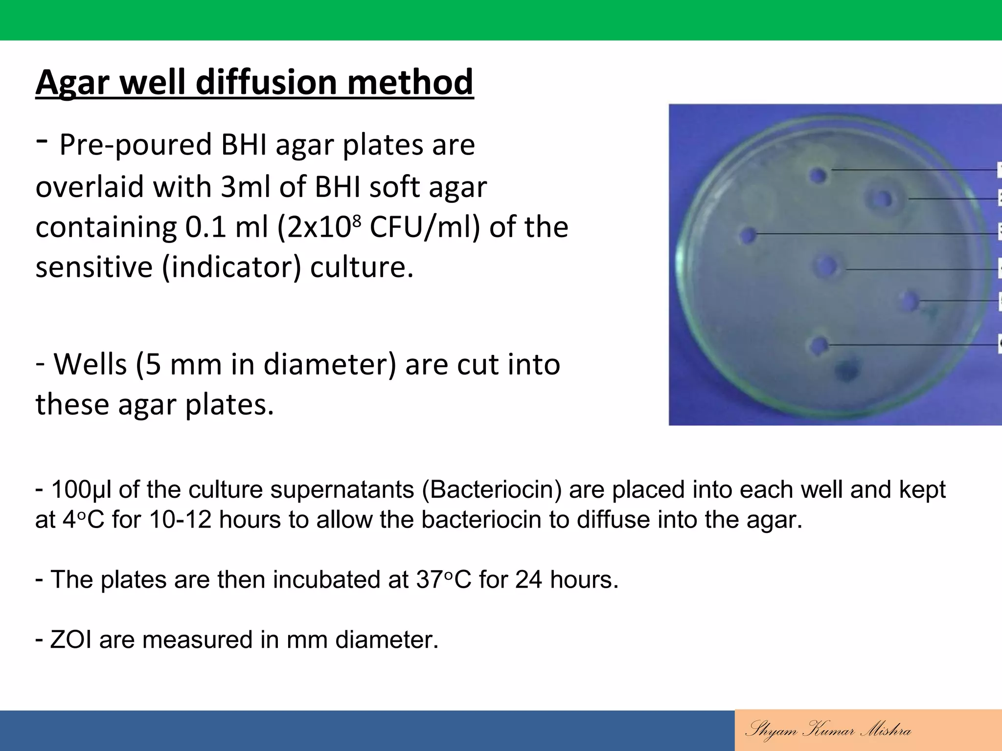 Contd….
Agar well diffusion method
- Pre-poured BHI agar plates are
overlaid with 3ml of BHI soft agar
containing 0.1 ml (2x108
CFU/ml) of the
sensitive (indicator) culture.
- Wells (5 mm in diameter) are cut into
these agar plates.
Shyam Kumar Mishra
- 100μl of the culture supernatants (Bacteriocin) are placed into each well and kept
at 4 C for 10-12 hours to allow the bacteriocin to diffuse into the agar.ᵒ
- The plates are then incubated at 37 C for 24 hours.ᵒ
- ZOI are measured in mm diameter.
 