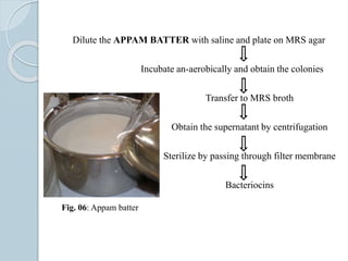 Dilute the APPAM BATTER with saline and plate on MRS agar
Incubate an-aerobically and obtain the colonies
Transfer to MRS broth
Obtain the supernatant by centrifugation
Sterilize by passing through filter membrane
Bacteriocins
Fig. 06: Appam batter
 