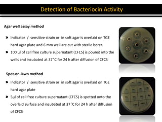 Detection of Bacteriocin Activity
Agar well assay method
Indicator / sensitive strain or in soft agar is overlaid on TGE
hard agar plate and 6 mm well are cut with sterile borer.
100 µl of cell free culture supernatant (CFCS) is poured into the
wells and incubated at 37 ̊C for 24 h after diffusion of CFCS
Spot-on-lawn method
Indicator / sensitive strain or in soft agar is overlaid on TGE
hard agar plate
5µl of cell free culture supernatant (CFCS) is spotted onto the
overlaid surface and incubated at 37 ̊C for 24 h after diffusion
of CFCS
 
