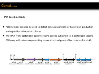 PCR methods can also be used to detect genes responsible for bacteriocin production
and regulation in bacterial cultures.
The DNA from bacteriocin positive strains can be subjected to a bacteriocin-specific
PCR array with primers representing known structural genes of bacteriocins from LAB.
PCR based methods
 