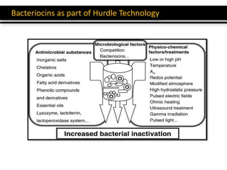 Bacteriocins as part of Hurdle Technology
 