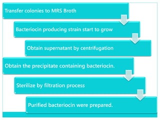 Transfer colonies to MRS Broth
Bacteriocin producing strain start to grow
Obtain supernatant by centrifugation
Obtain the precipitate containing bacteriocin.
Sterilize by filtration process
Purified bacteriocin were prepared.
 