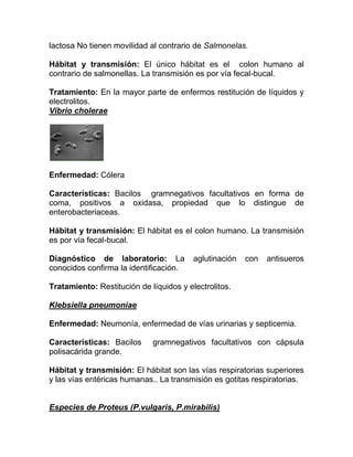 lactosa No tienen movilidad al contrario de Salmonelas.

Hábitat y transmisión: El único hábitat es el colon humano al
contrario de salmonellas. La transmisión es por vía fecal-bucal.

Tratamiento: En la mayor parte de enfermos restitución de líquidos y
electrolitos.
Vibrio cholerae




Enfermedad: Cólera

Características: Bacilos gramnegativos facultativos en forma de
coma, positivos a oxidasa, propiedad que lo distingue de
enterobacteriaceas.

Hábitat y transmisión: El hábitat es el colon humano. La transmisión
es por vía fecal-bucal.

Diagnóstico de laboratorio: La           aglutinación   con   antisueros
conocidos confirma la identificación.

Tratamiento: Restitución de líquidos y electrolitos.

Klebsiella pneumoniae

Enfermedad: Neumonía, enfermedad de vías urinarias y septicemia.

Características: Bacilos     gramnegativos facultativos con cápsula
polisacárida grande.

Hábitat y transmisión: El hábitat son las vías respiratorias superiores
y las vías entéricas humanas.. La transmisión es gotitas respiratorias.


Especies de Proteus (P.vulgaris, P.mirabilis)
 