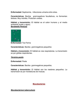 Enfermedad: Septicemia, infecciones urinaria entre otras.

Características: Bacilos gramnegativos facultativos, no fermentan
lactosa. Muy móviles. Producen ureasa.

Hábitat y transmisión: El hábitat es el colon humano y el medio
ambiente (suelo y agua).
Bordetella Pertusis




Enfermedad: Tos Ferina

Características: Bacilos gramnegativos pequeños

Hábitat y transmisión: El hábitat es vías respiratorias. La transmisión
es por gotitas respiratorias.

Yersinia pestis

Enfermedad: Peste

Características: Bacilos gramnegativos pequeños.

Hábitat y transmisión: El hábitat son los roedores pequeños. La
transmisión es por mordeduras de moscas.




                           Mycobacterias


Mycobacterium tuberculosis
 