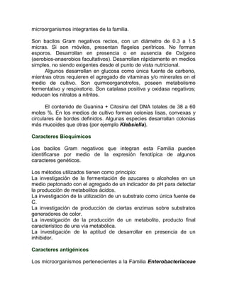microorganismos integrantes de la familia.

Son bacilos Gram negativos rectos, con un diámetro de 0.3 a 1.5
micras. Si son móviles, presentan flagelos perítricos. No forman
esporos. Desarrollan en presencia o en ausencia de Oxígeno
(aerobios-anaerobios facultativos). Desarrollan rápidamente en medios
simples, no siendo exigentes desde el punto de vista nutricional.
     Algunos desarrollan en glucosa como única fuente de carbono,
mientras otros requieren el agregado de vitaminas y/o minerales en el
medio de cultivo. Son quimioorganotrofos, poseen metabolismo
fermentativo y respiratorio. Son catalasa positiva y oxidasa negativos;
reducen los nitratos a nitritos.

      El contenido de Guanina + Citosina del DNA totales de 38 a 60
moles %. En los medios de cultivo forman colonias lisas, convexas y
circulares de bordes definidos. Algunas especies desarrollan colonias
más mucoides que otras (por ejemplo Klebsiella).

Caracteres Bioquímicos

Los bacilos Gram negativos que integran esta Familia pueden
identificarse por medio de la expresión fenotípica de algunos
caracteres genéticos.

Los métodos utilizados tienen como principio:
La investigación de la fermentación de azucares o alcoholes en un
medio peptonado con el agregado de un indicador de pH para detectar
la producción de metabolitos ácidos.
La investigación de la utilización de un substrato como única fuente de
C.
La investigación de producción de ciertas enzimas sobre substratos
generadores de color.
La investigación de la producción de un metabolito, producto final
característico de una vía metabólica.
La investigación de la aptitud de desarrollar en presencia de un
inhibidor.

Caracteres antigénicos

Los microorganismos pertenecientes a la Familia Enterobacteriaceae
 