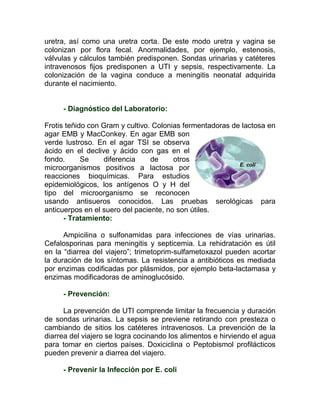uretra, así como una uretra corta. De este modo uretra y vagina se
colonizan por flora fecal. Anormalidades, por ejemplo, estenosis,
válvulas y cálculos también predisponen. Sondas urinarias y catéteres
intravenosos fijos predisponen a UTI y sepsis, respectivamente. La
colonización de la vagina conduce a meningitis neonatal adquirida
durante el nacimiento.


     - Diagnóstico del Laboratorio:

Frotis teñido con Gram y cultivo. Colonias fermentadoras de lactosa en
agar EMB y MacConkey. En agar EMB son
verde lustroso. En el agar TSI se observa
ácido en el declive y ácido con gas en el
fondo.      Se    diferencia     de     otros
microorganismos positivos a lactosa por
reacciones bioquímicas. Para estudios
epidemiológicos, los antígenos O y H del
tipo del microorganismo se reconocen
usando antisueros conocidos. Las pruebas serológicas para
anticuerpos en el suero del paciente, no son útiles.
      - Tratamiento:

      Ampicilina o sulfonamidas para infecciones de vías urinarias.
Cefalosporinas para meningitis y septicemia. La rehidratación es útil
en la “diarrea del viajero”; trimetoprim-sulfametoxazol pueden acortar
la duración de los síntomas. La resistencia a antibióticos es mediada
por enzimas codificadas por plásmidos, por ejemplo beta-lactamasa y
enzimas modificadoras de aminoglucósido.

     - Prevención:

      La prevención de UTI comprende limitar la frecuencia y duración
de sondas urinarias. La sepsis se previene retirando con presteza o
cambiando de sitios los catéteres intravenosos. La prevención de la
diarrea del viajero se logra cocinando los alimentos e hirviendo el agua
para tomar en ciertos países. Doxiciclina o Peptobismol profilácticos
pueden prevenir a diarrea del viajero.

     - Prevenir la Infección por E. coli
 