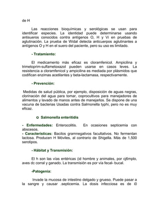 de H

       Las reacciones bioquímicas y serológicas se usan para
identificar especies. La identidad puede determinarse usando
antisueros conocidos contra antígenos O, H y Vi en pruebas de
aglutinación. La prueba de Widal detecta anticuerpos aglutinantes a
antígenos O y H en el suero del paciente, pero su uso es limitado.

       - Tratamiento:

      El medicamento más eficaz es cloramfenicol. Ampicilina y
trimetoprim-sulfametoxazol pueden usarse en casos leves. La
resistencia a cloramfenicol y ampicilina es mediada por plásmidos que
codifican enzimas acetilantes y beta-lactamasa, respectivamente.

       - Prevención:

 Medidas de salud pública, por ejemplo, disposición de aguas negras,
clorinación del agua para tomar, coprocultivos para manejadores de
alimentos y lavado de manos antes de manejarlos. Se dispone de una
vacuna de bacterias Usadas contra Salrnonella typhi, pero no es muy
eficaz.

         o   Salmonella enteritidis

- Enfermedades: Enterocolitis.     En ocasiones septicemia con
abscesos.
- Características: Bacilos gramnegativos facultativos. No fermentan
lactosa. Producen H Móviles, al contrario de Shigella. Más de 1,500
serotipos.

       - Hábitat y Transmisión:

     El h son las vías entéricas (id hombre y animales, por cj6mplo,
aves dc corral y ganado. La transmisión es por vía fecal- bucal.

       -Patogenia:

     Invade la mucosa de intestino delgado y grueso. Puede pasar a
la sangre y causar .septicemia. La dosis infecciosa es de i0
 