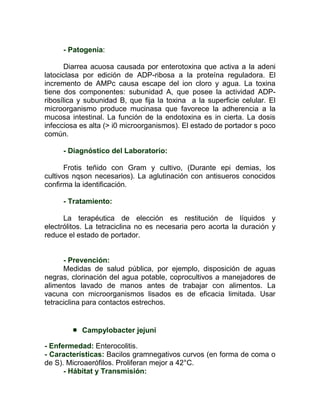 - Patogenia:

       Diarrea acuosa causada por enterotoxina que activa a la adeni
latociclasa por edición de ADP-ribosa a la proteína reguladora. El
incremento de AMPc causa escape del ion cloro y agua. La toxina
tiene dos componentes: subunidad A, que posee la actividad ADP-
ribosílica y subunidad B, que fija la toxina a la superficie celular. El
microorganismo produce mucinasa que favorece la adherencia a la
mucosa intestinal. La función de la endotoxina es in cierta. La dosis
infecciosa es alta (> i0 microorganismos). El estado de portador s poco
común.

     - Diagnóstico del Laboratorio:

       Frotis teñido con Gram y cultivo, (Durante epi demias, los
cultivos nqson necesarios). La aglutinación con antisueros conocidos
confirma la identificación.

     - Tratamiento:

      La terapéutica de elección es restitución de líquidos y
electrólitos. La tetraciclina no es necesaria pero acorta la duración y
reduce el estado de portador.


      - Prevención:
      Medidas de salud pública, por ejemplo, disposición de aguas
negras, clorinación del agua potable, coprocultivos a manejadores de
alimentos lavado de manos antes de trabajar con alimentos. La
vacuna con microorganismos lisados es de eficacia limitada. Usar
tetraciclina para contactos estrechos.


           Campylobacter jejuni

- Enfermedad: Enterocolitis.
- Características: Bacilos gramnegativos curvos (en forma de coma o
de S). Microaerófilos. Proliferan mejor a 42°C.
      - Hábitat y Transmisión:
 