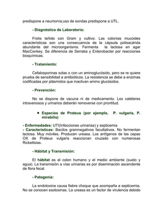 predispone a neumonía;uso de sondas predispone a UTL.

     - Diagnóstico de Laboratorio:

     Frotis teñido con Gram y cultivo. Las colonias mucoides
características son una consecuencia de la cápsula polisacárida
abundante del microorganismo. Fermenta        la lactosa en agar
MacConkey. Se diferencia de Serratia y Enterobacter por reacciones
bioquímicas.

     - Tratamiento:

      Cefalosporinas solas o con un aminoglucósido, pero se re quiere
prueba de sensibilidad a antibióticos. La resistencia se debe a enzimas
codificadas por plásmidos que inactivan amino glucósidos.

     - Prevención:

      No se dispone de vacuna ni de medicamento. Los catéteres
intravenosos y urinarios deberán removerse con prontitud.

           Especies de Proteus (por ejemplo,         P. vulgaris, P.
            mirabilis)

- Enfermedades: UTI(Infecciones urinarias) y septicemia
- Características: Bacilos gramnegativos facultativos. No fermentan
lactosa. Muy móviles. Producen ureasa. Los ant!genos de las cepas
OX de Proteus vulgaris reaccionan cruzado con numerosas
Rickettsias.

     - Hábitat y Transmisión:

      El hábitat es el colon humano y el medio ambiente (suelo y
agua). La transmisión a vías urinarias es por diseminación ascendente
de flora fecal.

     - Patogenia:

     La endotoxina causa fiebre choque que acompaña a septicemia.
No se conocen exotoxinas. La ureasa es un factor de virulencia debido
 