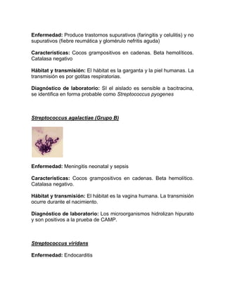 Enfermedad: Produce trastornos supurativos (faringitis y celulitis) y no
supurativos (fiebre reumática y glomérulo nefritis aguda)

Características: Cocos grampositivos en cadenas. Beta hemolíticos.
Catalasa negativo

Hábitat y transmisión: El hábitat es la garganta y la piel humanas. La
transmisión es por gotitas respiratorias.

Diagnóstico de laboratorio: SI el aislado es sensible a bacitracina,
se identifica en forma probable como Streptococcus pyogenes



Streptococcus agalactiae (Grupo B)




Enfermedad: Meningitis neonatal y sepsis

Características: Cocos grampositivos en cadenas. Beta hemolítico.
Catalasa negativo.

Hábitat y transmisión: El hábitat es la vagina humana. La transmisión
ocurre durante el nacimiento.

Diagnóstico de laboratorio: Los microorganismos hidrolizan hipurato
y son positivos a la prueba de CAMP.



Streptococcus viridans

Enfermedad: Endocarditis
 