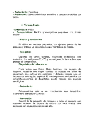 - Tratamiento: Penicilina.
- Prevención: Deberá administrar ampicilina a personas mordidas por
gatos.


           Yersinia Pestis

- Enfermedad: Peste.
- Características: Bacilos gramnegatlvos pequeños, con tinción
bipolar.

     - Hábitat y transmisión:

     El hábitat es roedores pequeños, por ejemplo, perros de las
praderas y ardillas. La transmisión es por mordedura de mosca.

     - Patogenia:

      Depende de varios factores, incluyendo endotoxina, una
exotoxina, dos antígenos (V y W) y un antígeno de la envoltura que
protege de la fagocitosis.
      Diagnóstico de Laboratorio:

      Frotis teñido con Gram. Otras tinciones, por ejemplo, de
Wayson, muestran con mayor claridad su aspecto de “alfiler de
seguridad”. Los cultivos son peligrosos y deberán hacerse sólo en
laboratorios con equipo especial. El microorganismo se identifica por
inmunofluorescencia. El diagnóstico puede hacerse con pruebas
serológicas.

     - Tratamiento:

     Estreptomicina sola o en        combinación    con   tetraciclina.
Cuarentena estricta por 72 horas.

     - Prevención:
     Control de la población de roedores y evitar el contacto con
roedores muertos. Se dispone de vacuna con virus lisados para
personas con ocupaciones de riesgo alto.
 