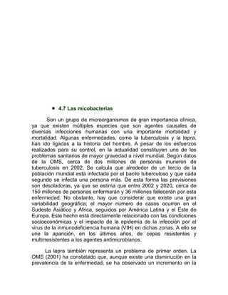    4.7 Las micobacterias

       Son un grupo de microorganismos de gran importancia clínica,
ya que existen múltiples especies que son agentes causales de
diversas infecciones humanas con una importante morbilidad y
mortalidad. Algunas enfermedades, como la tuberculosis y la lepra,
han ido ligadas a la historia del hombre. A pesar de los esfuerzos
realizados para su control, en la actualidad constituyen uno de los
problemas sanitarios de mayor gravedad a nivel mundial. Según datos
de la OMS, cerca de dos millones de personas murieron de
tuberculosis en 2002. Se calcula que alrededor de un tercio de la
población mundial está infectada por el bacilo tuberculoso y que cada
segundo se infecta una persona más. De esta forma las previsiones
son desoladoras, ya que se estima que entre 2002 y 2020, cerca de
150 millones de personas enfermarán y 36 millones fallecerán por esta
enfermedad. No obstante, hay que considerar que existe una gran
variabilidad geográfica; el mayor número de casos ocurren en el
Sudeste Asiático y África, seguidos por América Latina y el Este de
Europa. Este hecho está directamente relacionado con las condiciones
socioeconómicas y el impacto de la epidemia de la infección por el
virus de la inmunodeficiencia humana (VIH) en dichas zonas. A ello se
une la aparición, en los últimos años, de cepas resistentes y
multirresistentes a los agentes antimicrobianos.

     La lepra también representa un problema de primer orden. La
OMS (2001) ha constatado que, aunque existe una disminución en la
prevalencia de la enfermedad, se ha observado un incremento en la
 