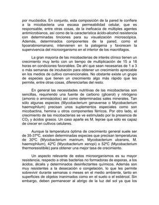 por mucósidos. En conjunto, esta composición de la pared le confiere
a la micobacteria una escasa permeabilidad celular, que es
responsable, entre otras cosas, de la ineficacia de múltiples agentes
antimicrobianos, así como de la característica ácido-alcohol resistencia
con determinadas tinciones para su visualización microscópica.
Además, determinados componentes de la pared, como el
lipoarabinomanano, intervienen en la patogenia y favorecen la
supervivencia del microorganismo en el interior de los macrófagos.

      La gran mayoría de las micobacterias de interés clínico tienen un
crecimiento muy lento con un tiempo de multiplicación de 15 a 18
horas en condiciones favorables. De ahí que sean necesarias de 1 a 3
o más semanas de incubación para obtener un crecimiento apreciable
en los medios de cultivo convencionales. No obstante existe un grupo
de especies que tienen un crecimiento algo más rápido que les
permite, entre otras cosas, diferenciarlas del resto.

      En general las necesidades nutritivas de las micobacterias son
sencillas, requiriendo una fuente de carbono (glicerol) y nitrógeno
(amonio o aminoácidos) así como determinadas sales minerales. Tan
sólo algunas especies (Mycobacterium genavense o Mycobacterium
haemophilum) precisan unos suplementos especiales como son
micobactina, hemina u otros componentes férricos. Por otro lado, el
crecimiento de las micobacterias se ve estimulado por la presencia de
CO2 y ácidos grasos. Un caso aparte es M. leprae que sólo es capaz
de crecer en cultivos celulares.

     Aunque la temperatura óptima de crecimiento general suele ser
de 35-37ºC, existen determinadas especies que precisan temperaturas
de 30ºC (Mycobacterium marinum, Mycobacterium ulcerans, M.
haemophilum), 42ºC (Mycobacterium xenopi) o 52ºC (Mycobacterium
thermoresistibile) para obtener una mejor tasa de crecimiento.

      Un aspecto relevante de estos microorganismos es su mayor
resistencia, respecto a otras bacterias no formadoras de esporas, a los
ácidos, álcalis y determinados desinfectantes químicos. Además son
muy resistentes a la desecación o congelación, lo que les permite
sobrevivir durante semanas o meses en el medio ambiente, tanto en
superficies de objetos inanimados como en el suelo o el estiércol. Sin
embargo, deben permanecer al abrigo de la luz del sol ya que los
 