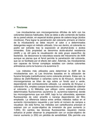  Tinciones

    Las micobacterias son microorganismos difíciles de teñir con los
colorantes básicos habituales. Esto se debe a alto contenido de lípidos
de su pared celular, en especial ácidos grasos de cadena larga (ácidos
micólicos). Para lograr la penetración del colorante primario al interior
de la micobacteria se debe recurrir al calor o a determinados
detergentes según el método utilizado. Una vez dentro, el colorante no
podrá ser extraído tras la exposición al alcohol-ácido o ácidos
minerales. Esta propiedad se denomina ácido-alcohol resistencia
(AAR) y es útil para la visualización de este grupo específico de
bacterias. Se desconoce la naturaleza exacta del mecanismo de AAR
aunque se piensa que el fenol permite la penetración del colorante,
que se ve facilitada por el efecto del calor. Además, las micobacterias
son capaces de formar complejos estables con ciertos colorantes
arilmetanos como la fucsina o la auramina O.

   Los métodos más utilizados para determinar la AAR de las
micobacterias son: a) Las tinciones basadas en la utilización de
fucsina fenicada (carbolfucsina) como colorante primario. Estas son, la
clásica de Ziehl-Neelsen o variantes como la de Kinyoun, donde los
microorganismos se tiñen de rojo sobre un fondo azul o verde,
dependiendo del contracolorante utilizado. La variante de Kinyoun o
coloración fría, emplea cuerpos tensoactivos sin necesidad de calentar
el colorante; y b) Métodos que utilizan como colorante primario
determinados fluorocromos (auramina O, auramina-rodamina) donde
los microorganismos que son AAR, bajo la luz ultravioleta, aparecen
fluorescentes de color amarillo o naranja dependiendo del filtro
empleado. La diferencia básica entre ambos métodos radica en el
aumento microscópico requerido y por tanto el número de campos a
visualizar. De esta forma, los métodos con carbolfucsina precisan el
exámen con un ocular-objetivo de inmersión de gran aumento (x
1.000). En cambio, las técnicas fluorescentes requieren menos
esfuerzo al poder observar la preparación con un ocular-objetivo de
menor aumento (x 250) sin pérdida de sensibilidad. Ello permite una
 