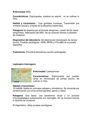 Enfermedad Sífilis.

Caracteristicas: Espiroquetas, bacteria en espiral , no se cultivan in
Vitro .

Habitat y transmisión : Vías genitales humanas. Transmisión por
contacto sexual y a través de la placenta (madre-hijo).

Patogenia Se dispersa por el torrente sanguíneo. Lesión de los vasos
sanguíneos, inflamación del SNC. No se conocen toxinas ni factores
de virulencia

Diagnostico del laboratorio: Se observa por microscopio de campo
oscuro. Pruebas serológicas: VDRL (RPR) y FTA-ABS es la prueba
específica


Tratamiento: Penicilina benzatínica (acción prolongada).




Leptospira interrogans


                      Enfermedad: Leptospirosis.

                      Características:. Espiroquetas que pueden
                      verse en microscopio de campo oscuro. Se
                      cultivan in Vitro

Hábitat y transmisión:
 El hábitat: Habita en animales salvajes y domésticos. Se transmite por
contaminación con orina animal (ganado, perros y ratas).

Patogenia: Dos fases: una bacteremia inicial y un proceso
inmunopatológico subsecuente con meningitis. No se conocen toxinas
ni factores de virulencia

El diagnóstico: utiliza pruebas serológicas.
 