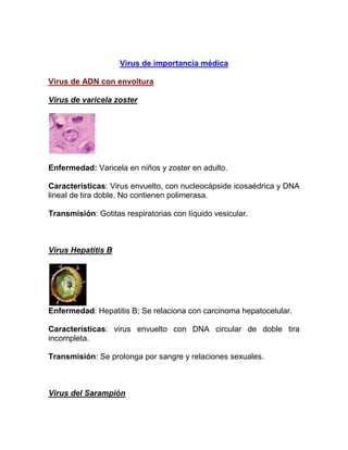 Virus de importancia médica

Virus de ADN con envoltura

Virus de varicela zoster




Enfermedad: Varicela en niños y zoster en adulto.

Características: Virus envuelto, con nucleocápside icosaédrica y DNA
lineal de tira doble. No contienen polimerasa.

Transmisión: Gotitas respiratorias con líquido vesicular.



Virus Hepatitis B




Enfermedad: Hepatitis B; Se relaciona con carcinoma hepatocelular.

Características: virus envuelto con DNA circular de doble tira
incompleta.

Transmisión: Se prolonga por sangre y relaciones sexuales.



Virus del Sarampión
 