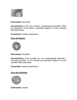 Enfermedad: Sarampión

Características: Virus con envoltura, nucleocápside helicoidal y RNA
sin segmentar, de tira doble y polaridad negativa. El virión contiene
RNA polimerasa.

Transmisión: Gotitas respiratorias.

Virus de Paperas




Enfermedad: Parotiditis

Características: Virus envuelto con una nucleocápside helicoidal y
una pieza de RNA de tira sencilla con polaridad negativa de virión
,contiene RNA polimerasa.

Transmisión: Gotitas respiratorias.


Virus de la Rubéola




Enfermedad: rubéola
 