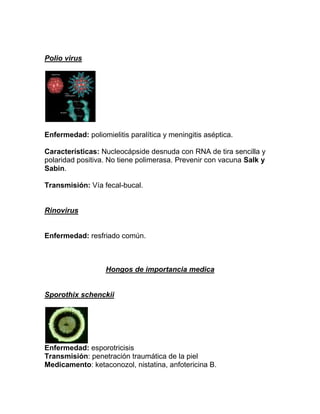 Polio virus




Enfermedad: poliomielitis paralítica y meningitis aséptica.

Características: Nucleocápside desnuda con RNA de tira sencilla y
polaridad positiva. No tiene polimerasa. Prevenir con vacuna Salk y
Sabin.

Transmisión: Vía fecal-bucal.


Rinovirus


Enfermedad: resfriado común.



                   Hongos de importancia medica


Sporothix schenckii




Enfermedad: esporotricisis
Transmisión: penetración traumática de la piel
Medicamento: ketaconozol, nistatina, anfotericina B.
 