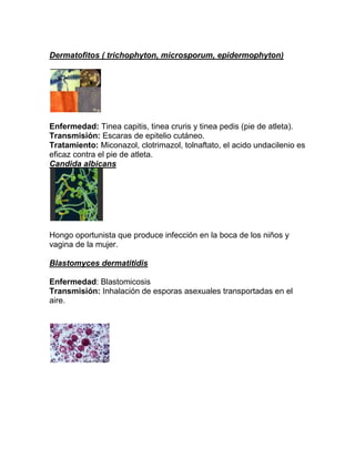 Dermatofitos ( trichophyton, microsporum, epidermophyton)




Enfermedad: Tinea capitis, tinea cruris y tinea pedis (pie de atleta).
Transmisión: Escaras de epitelio cutáneo.
Tratamiento: Miconazol, clotrimazol, tolnaftato, el acido undacilenio es
eficaz contra el pie de atleta.
Candida albicans




Hongo oportunista que produce infección en la boca de los niños y
vagina de la mujer.

Blastomyces dermatitidis

Enfermedad: Blastomicosis
Transmisión: Inhalación de esporas asexuales transportadas en el
aire.
 