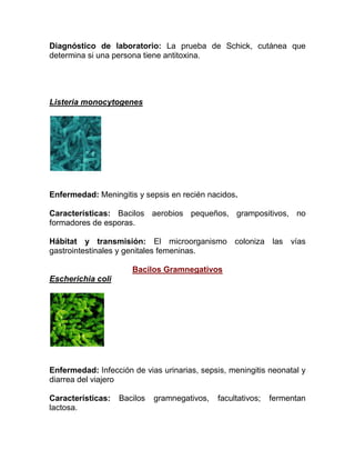 Diagnóstico de laboratorio: La prueba de Schick, cutánea que
determina si una persona tiene antitoxina.




Listeria monocytogenes




Enfermedad: Meningitis y sepsis en recién nacidos.

Características: Bacilos aerobios pequeños, grampositivos, no
formadores de esporas.

Hábitat y transmisión: El microorganismo coloniza las vías
gastrointestinales y genitales femeninas.

                      Bacilos Gramnegativos
Escherichia coli




Enfermedad: Infección de vias urinarias, sepsis, meningitis neonatal y
diarrea del viajero

Características:   Bacilos   gramnegativos,   facultativos;   fermentan
lactosa.
 
