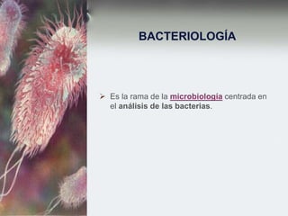 BACTERIOLOGÍA
 Es la rama de la microbiología centrada en
el análisis de las bacterias.
 