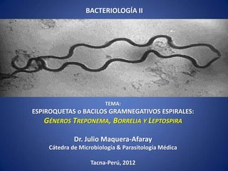 BACTERIOLOGÍA II




                        TEMA:
ESPIROQUETAS o BACILOS GRAMNEGATIVOS ESPIRALES:
   GÉNEROS TREPONEMA, BORRELIA Y LEPTOSPIRA

             Dr. Julio Maquera-Afaray
    Cátedra de Microbiología & Parasitología Médica

                   Tacna-Perú, 2012
 