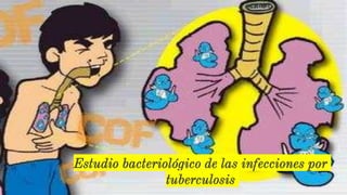 Estudio bacteriológico de las infecciones por
tuberculosis
 