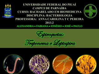 UNIVERSIDADE FEDERAL DO PIUAÍ
CAMPUS DE PARNAÍBA
CURSO: BACHARELADO EM BIOMEDICINA
DISCIPLINA: BACTERIOLOGIA
PROFESSORA: ANNA CAROLINA T C PEREIRA
2013.2
 
